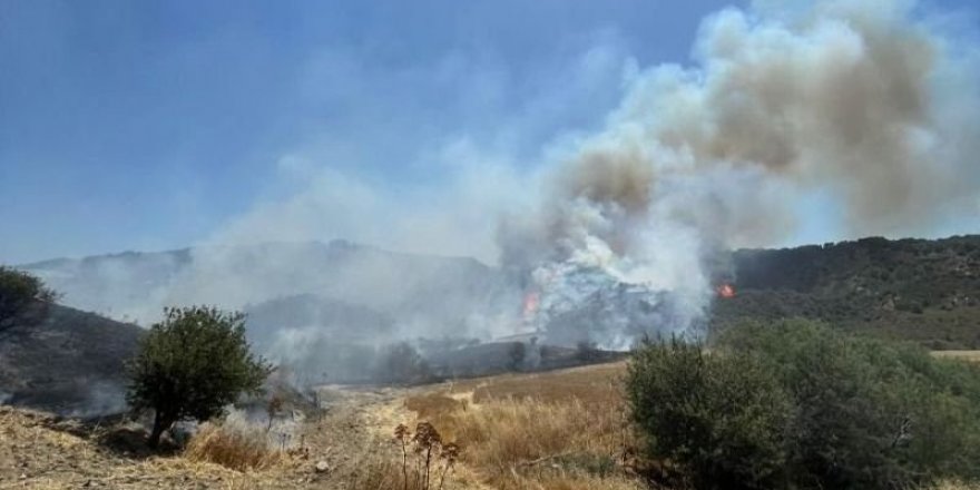 Yedidalga’nın ardından Kantara’da da yangın çıktı