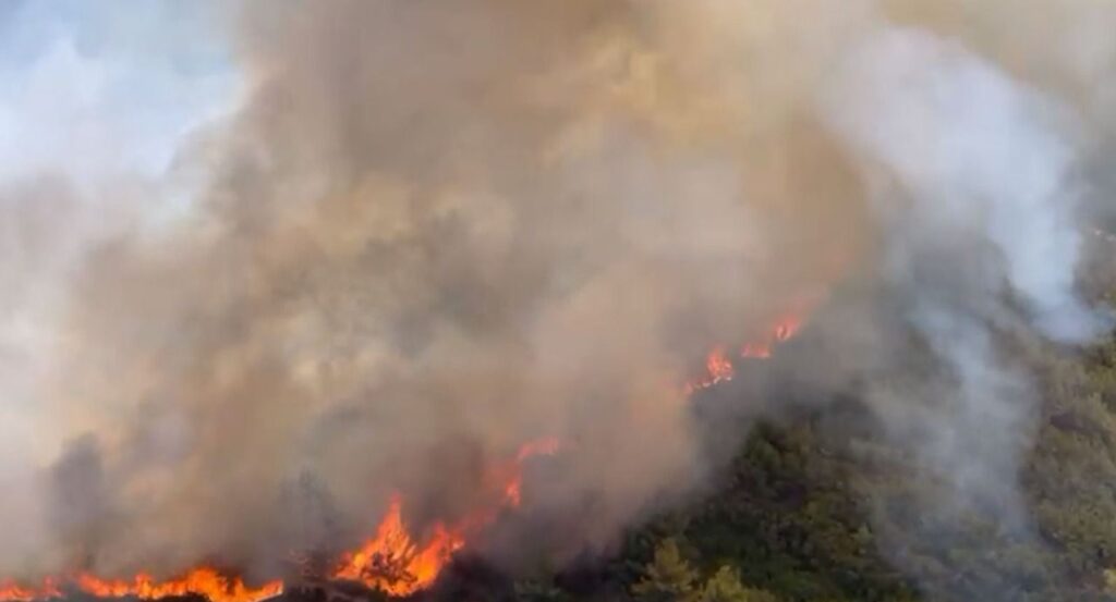 Hasan Sadıkoğlu: “Bölge tehlike altında, yangın önlenemiyor”