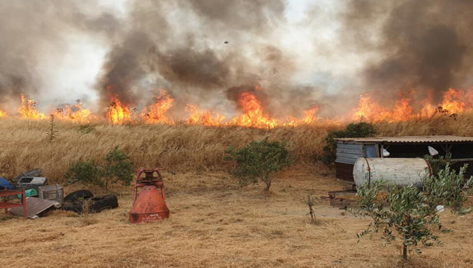 Kantara’da yangın sürüyor!