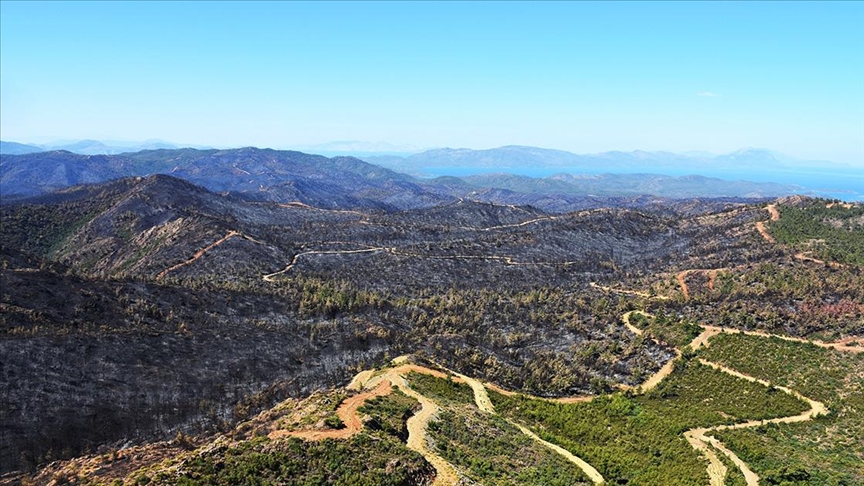 Marmaris’te yanan orman alanı havadan görüntülendi