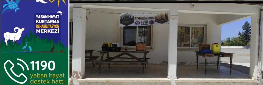 Yangından etkilenen hayvanlara yardım eli uzandı