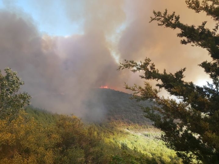 Yangın şiddetini artırdı, Mersinlik köyü boşaltıldı!