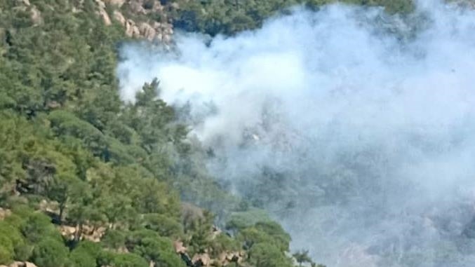 Milas’ta çıkan orman yangınına havadan ve karadan müdahale ediliyor