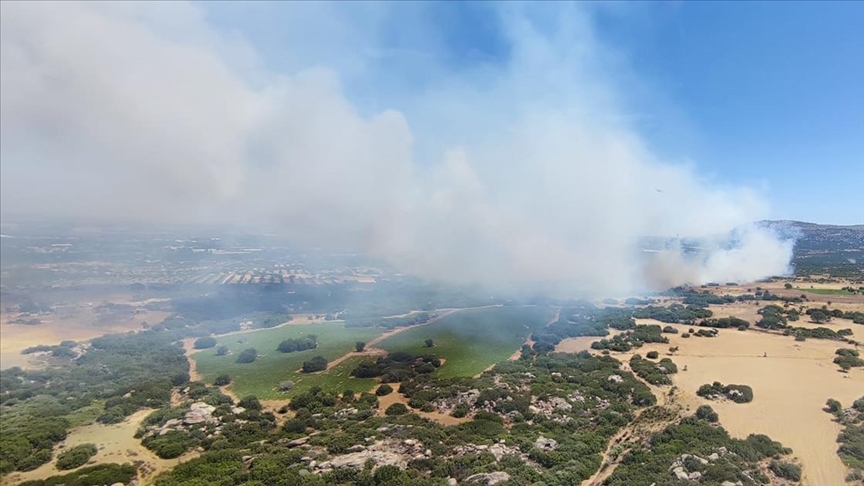 Çanakkale’de ormanlık alanda çıkan yangına müdahale ediliyor