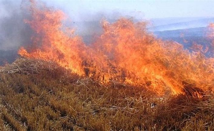 Üç ayrı bölgede yangın