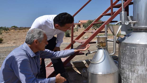 “Artık KKTC’de lavanta hasadının işleneceği bir tesis var”