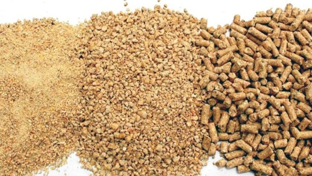 Yem maddeleriyle karma yemlerin ithaline muafiyet