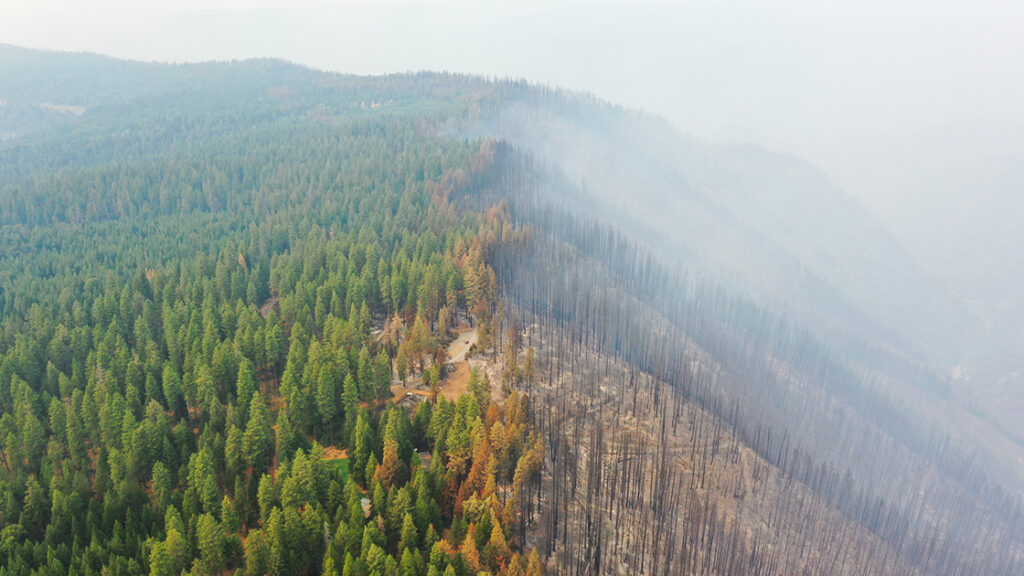 California’nın kuzeyindeki orman yangınında 11 binden fazla kişi tahliye edildi