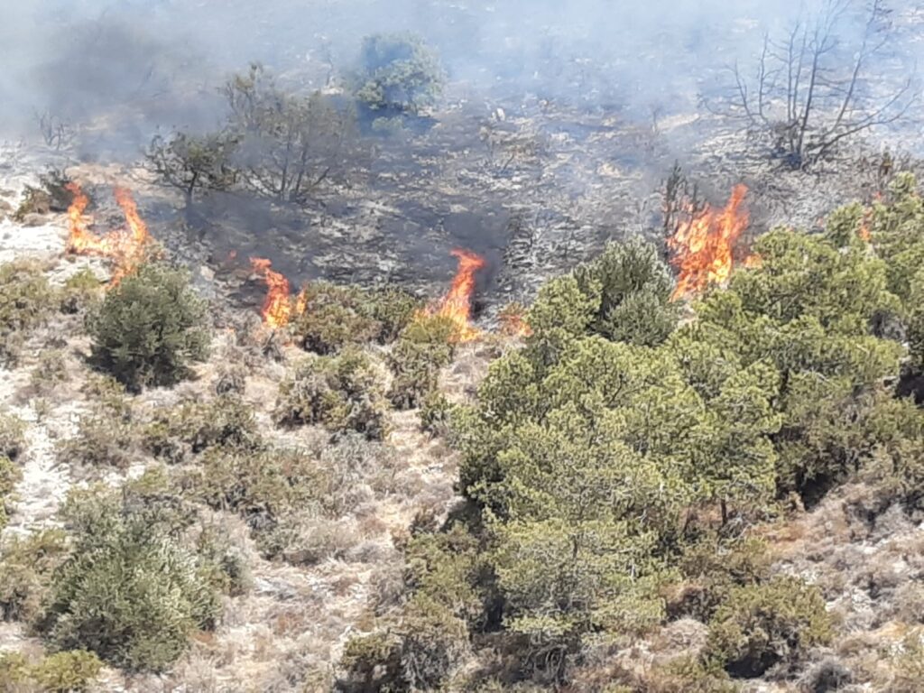 Ağıllar’daki yangın sonucu yaklaşık 200 dönümlük alan yandı