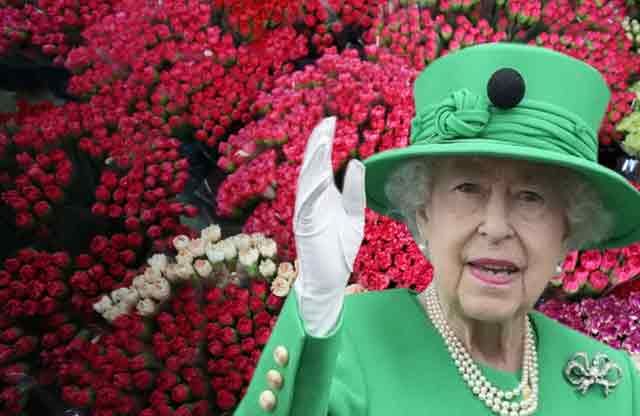 Elizabeth’in cenazesine Türkiye’den 1,5 milyon karanfil