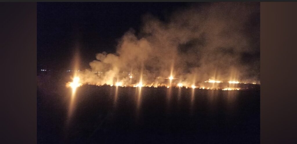 Son 5 yılda 3 bin 922 yangın meydana geldi