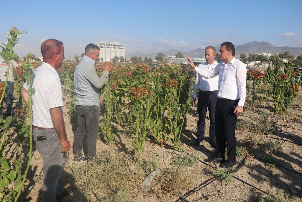 “Tütün üretiminin Mesarya bölgesinde ve Lefkoşa’da da olabileceğini gördük”