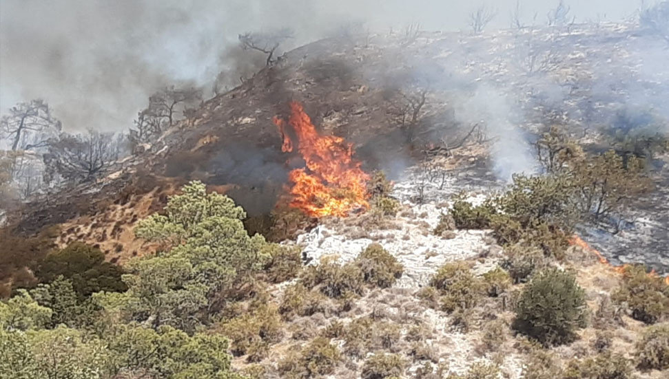 “Yangına anında müdahale edildi ve kontrol altına alındı”