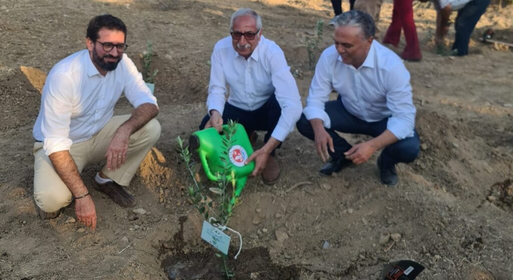 ‘Yeşil Şehirden Yeşil Adaya Projesi’ kapsamında ilk zeytin fidanları dikildi