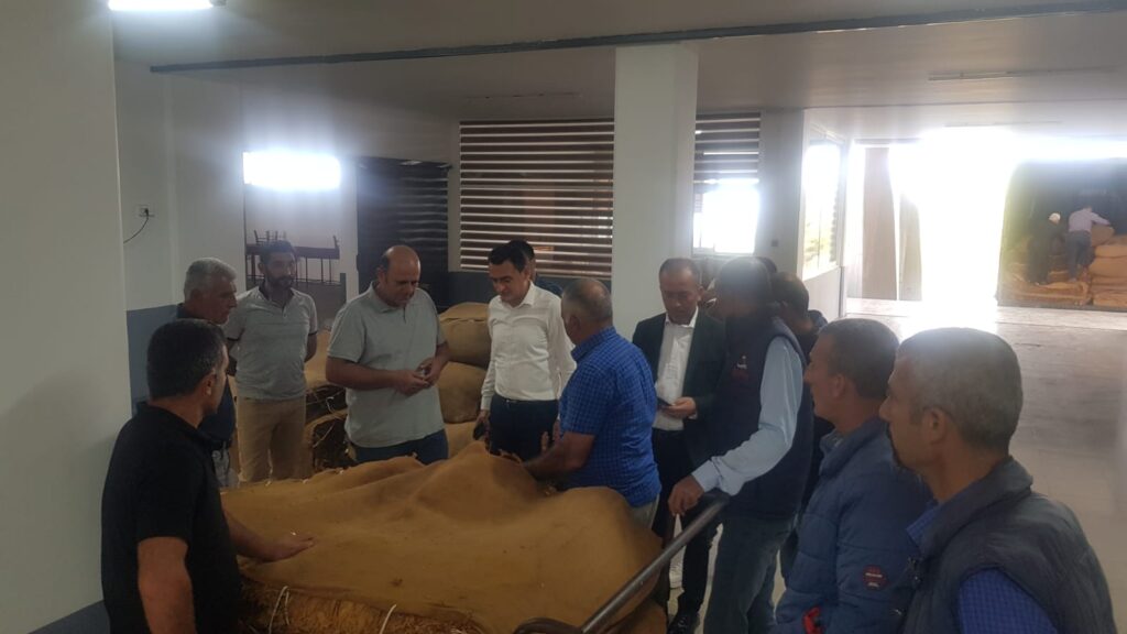 “4 ton pipo tütünü ihraç ürünü olacak şekilde Karpaz Tütün Kooperatifi’ne teslim edildi”