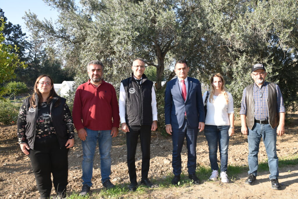 “Yerli zeytin tescilinde son aşamaya gelindi”