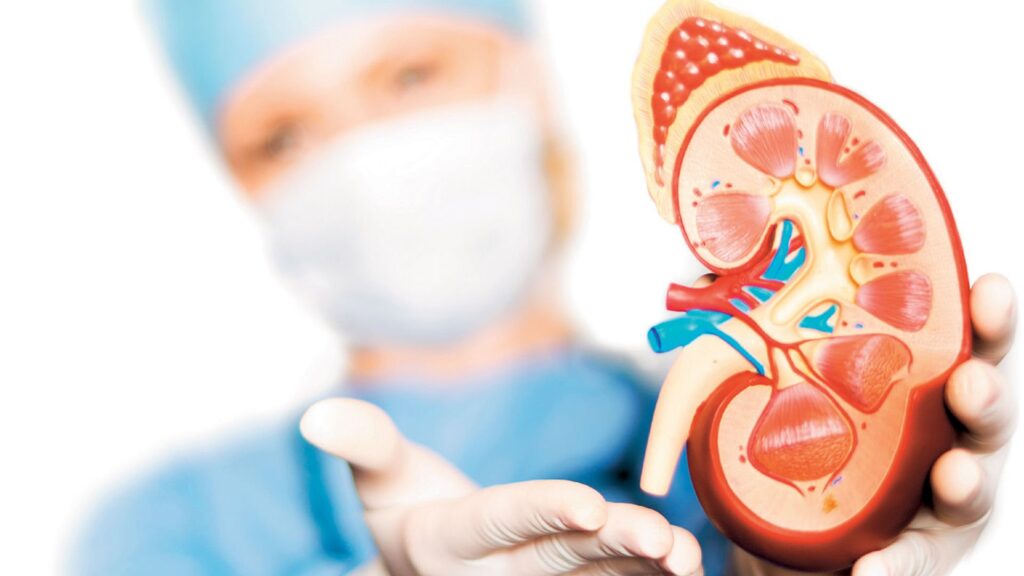 Güney Kıbrıs ve İsrail arasında ilk organ nakli gerçekleştirildi