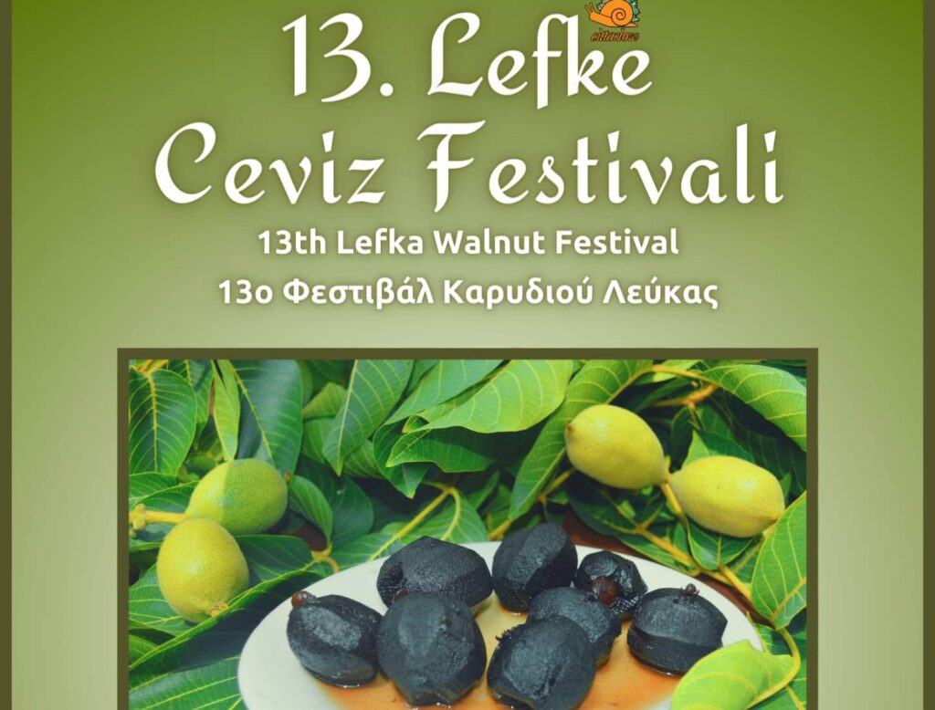13’üncü Lefke Ceviz Festivali 4 Haziran’da yapılıyor