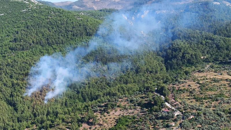 Muğla’da ormanlık alanda çıkan yangın söndürüldü