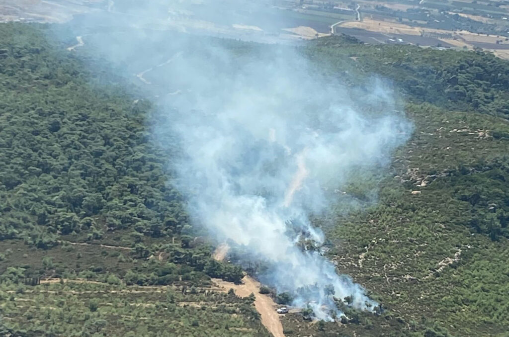 İzmir Foça’da orman yangını çıktı