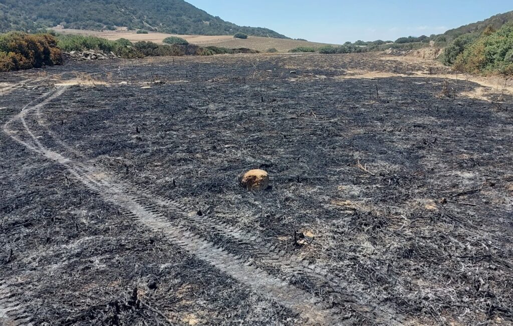 Dipkarpaz – Kaleburnu yolunda çıkan yangın, karadan ve havadan müdahale edilerek söndürüldü
