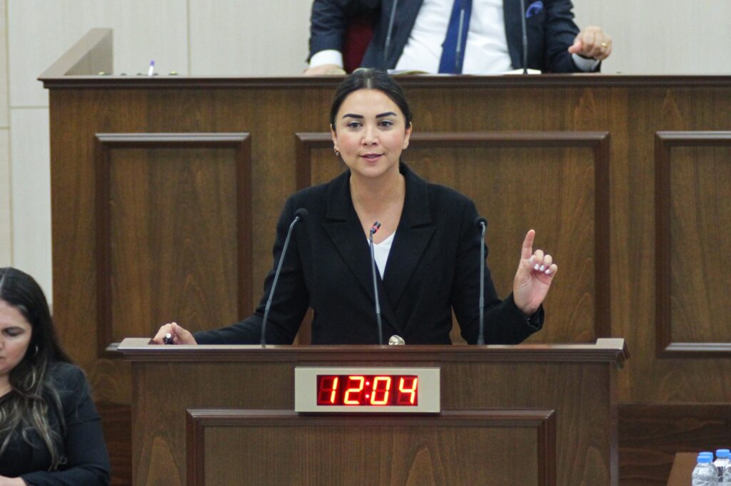 “İçişleri Bakanı çağ nüfusun kaç olduğunu biliyor mu?”