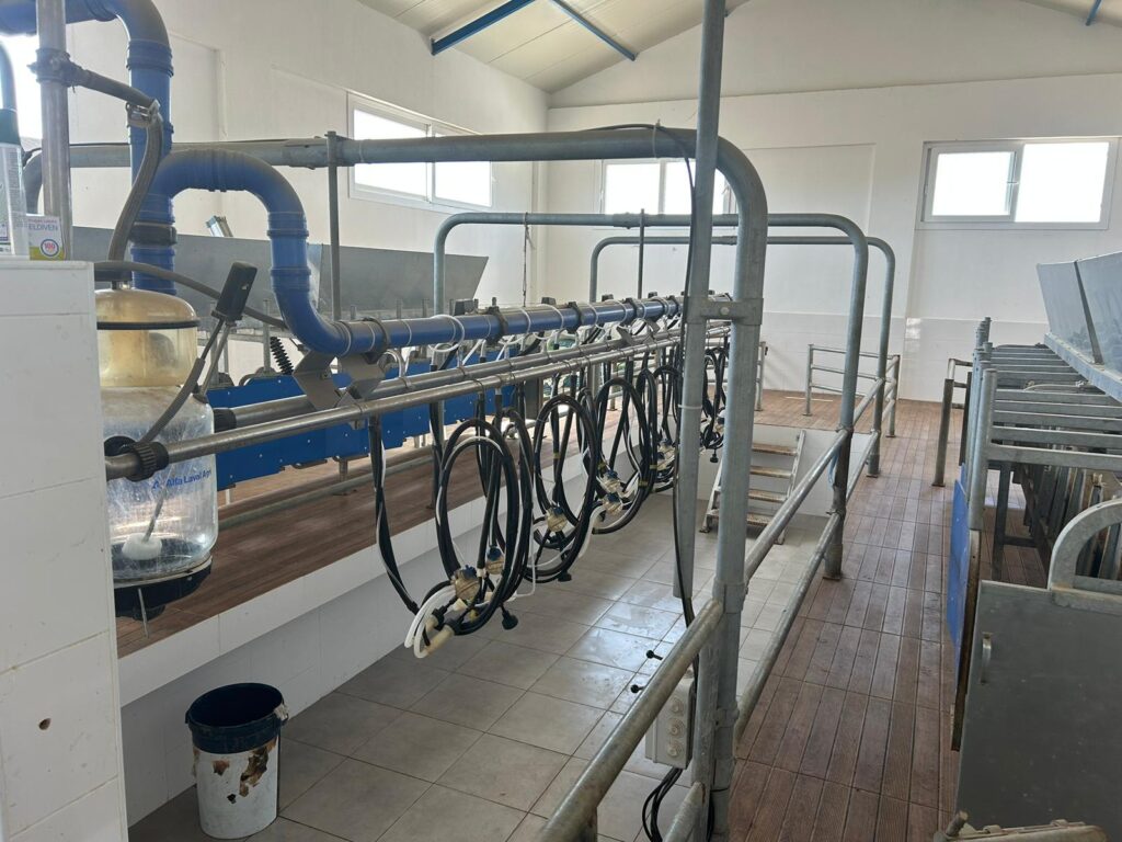 Girne’de bozulduğu tespit edilen 400 kg et imha edildi