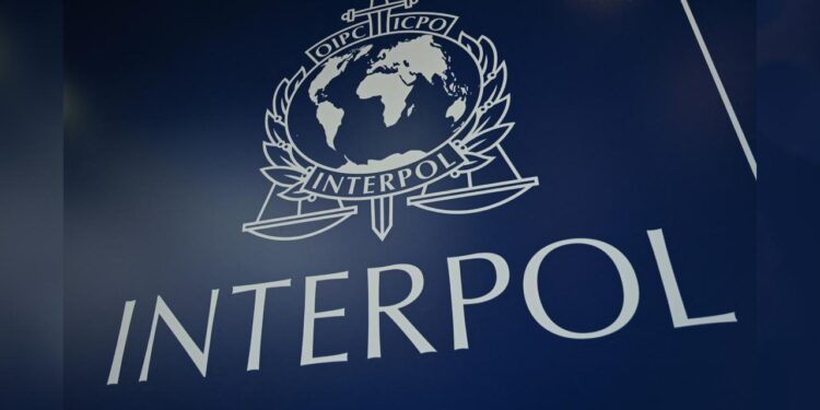 Interpol, internet üzerinden işlenen yeni suçlar konusunda uyardı