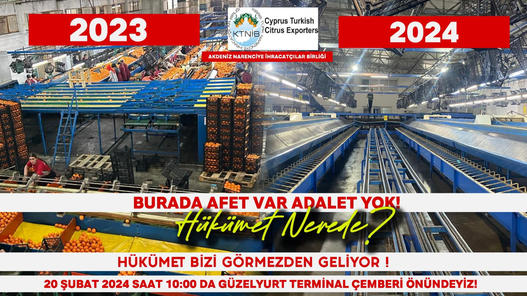 Narenciye üreticileri “yok olmamak” için eyleme gidiyor!