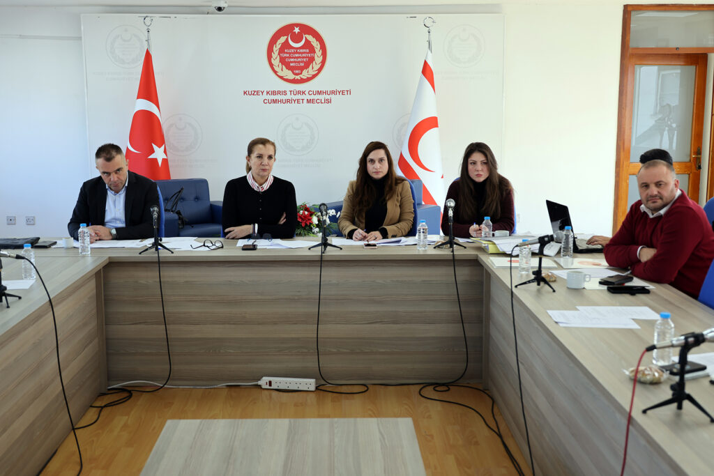Ekonomi, Maliye, Bütçe ve Plan Komitesi iki yasa tasarısını ele aldı