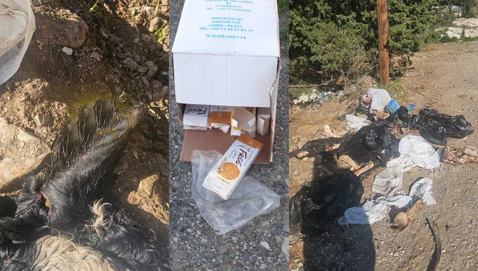 Çevreyi kirletenlere 27 bin liradan fazla ceza kesildi