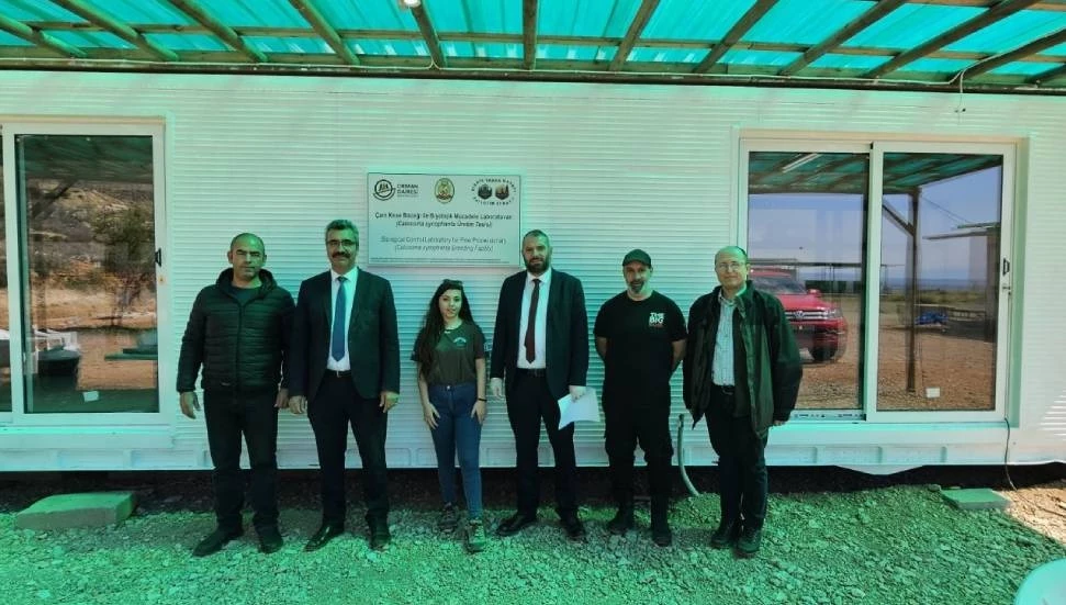 Çam kese böceğiyle mücadele için terminatör böcek üretimine başlandı