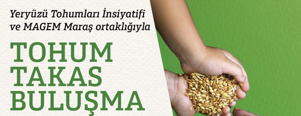 MAGEM Maraş ve Yeryüzü Tohumları İnisiyatifi ortaklığıyla “Tohum Takas” etkinliği düzenleniyor