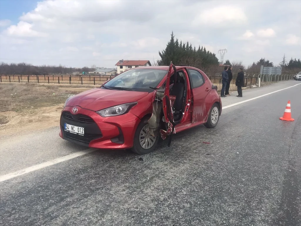 Adres sormak için araçtan inen sürücü feci şekilde can verdi