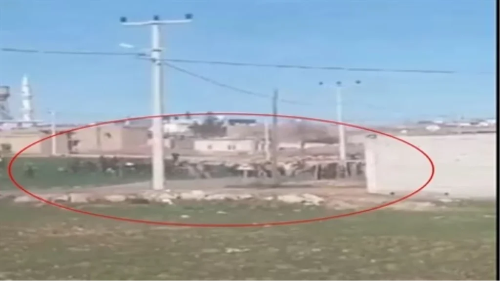 Mardin’de muhtar adaylığı kavgası: 15 kişi yaralandı