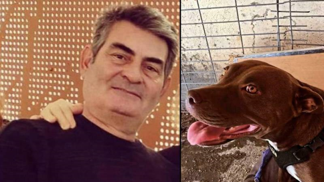 Pitbull köpeği Şila’yı öldüren sanığın cezasında artırım yapılarak 4 yıla çıkarıldı