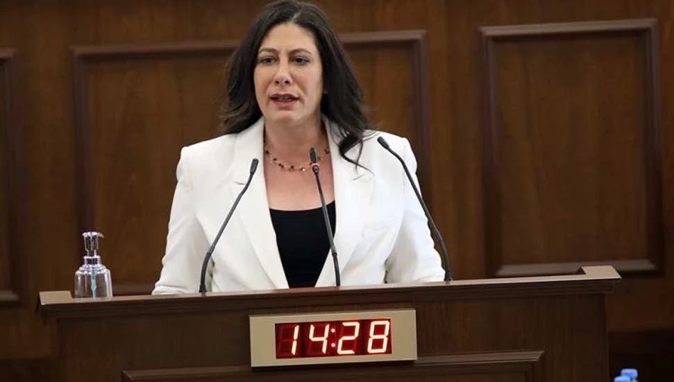 Sıla Usar İncirli: Af getirmeyi aklınızdan bile geçirmeyin