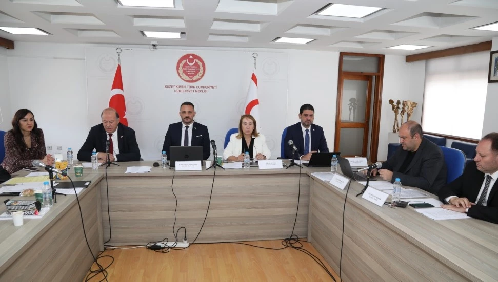 Cumhuriyet Meclisi, İdari, Kamu ve Sağlık İşleri Komitesi toplandı