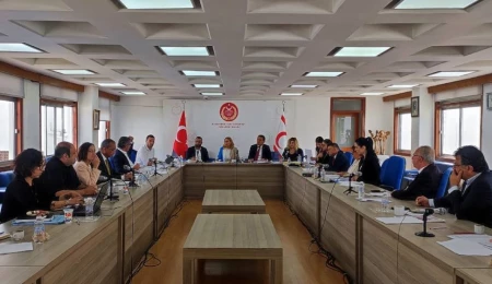 “Taşınmaz Mal Edinme ve Uzun Vadeli Kiralama (Yabancılar) (Değişiklik) Yasa Tasarısı” komitede