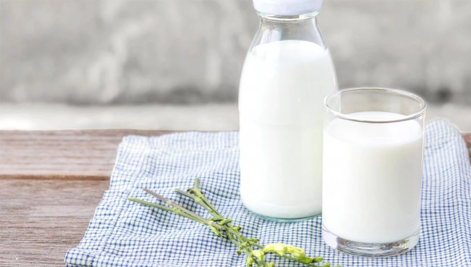 Boğaziçi Süt Toplama Merkezi, koyun ve keçi sütü alımına başladı