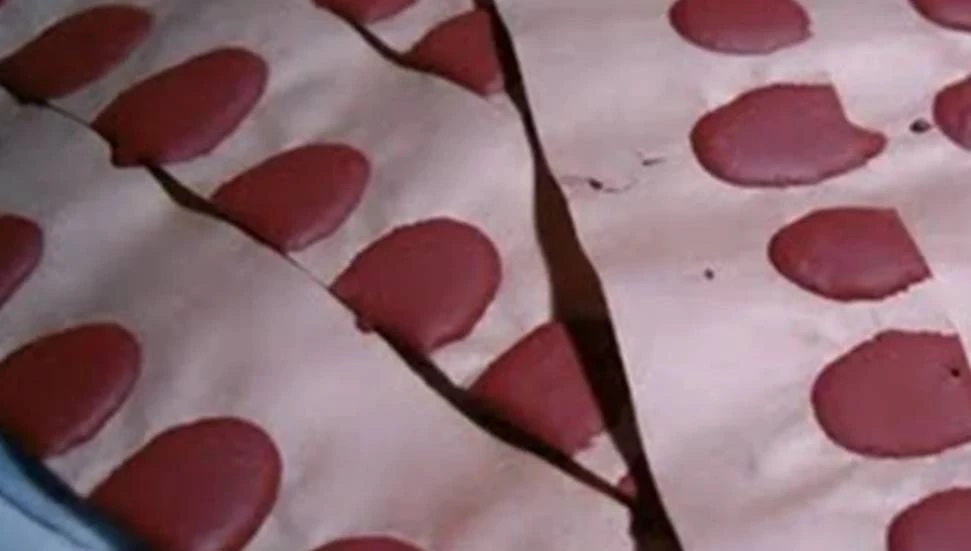 Güney Kıbrıs’ta 5 bin 500 çatapat ele geçirildi!