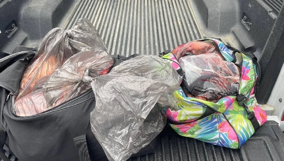60 kilogram kuzu eti ele geçirildi