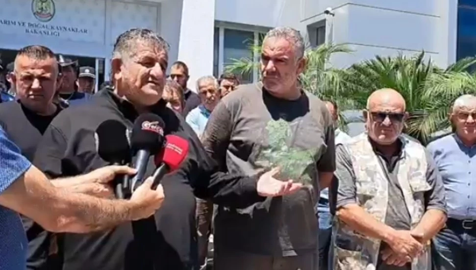 Naimoğulları: Halk ucuz et yemek istiyorsa bu görev ekonomi bakanınındır