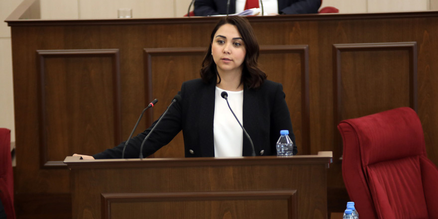 Ayşegül Baybars: “Ülke insanlarına zerre sorumluluk duymadığınızı gösteriyor”