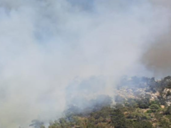 Mersinlik Piknik Alanı Yakınlarında Büyük Yangın