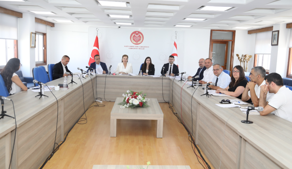 Ekonomi, Maliye, Bütçe ve Plan Komitesi toplandı