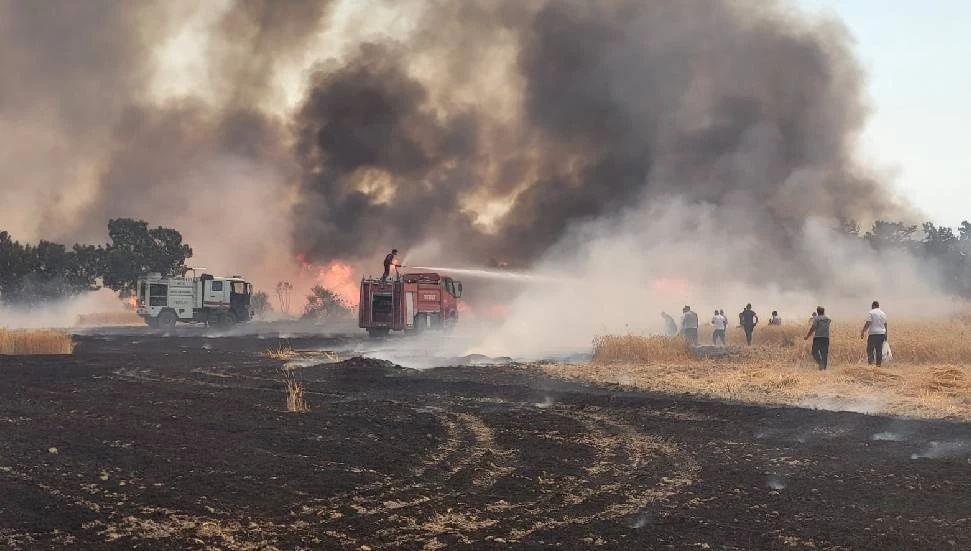 Çınarlı yangınının verdiği zarar belli oldu