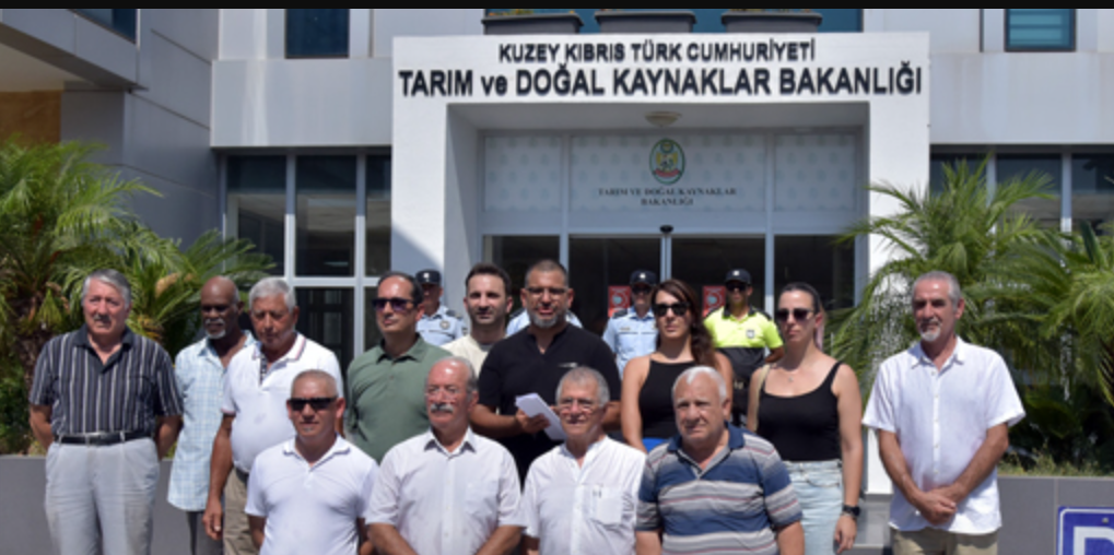 Çevre Platformu çam kese böceğiyle havadan biyolojik mücadele için harekete geçilmesini istedi