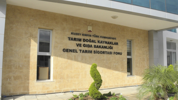 Balıkçılık İzinleri ve Sürdürülebilir Kullanım Tüzüğü’nde bazı maddelerde değişiklik yapıldı