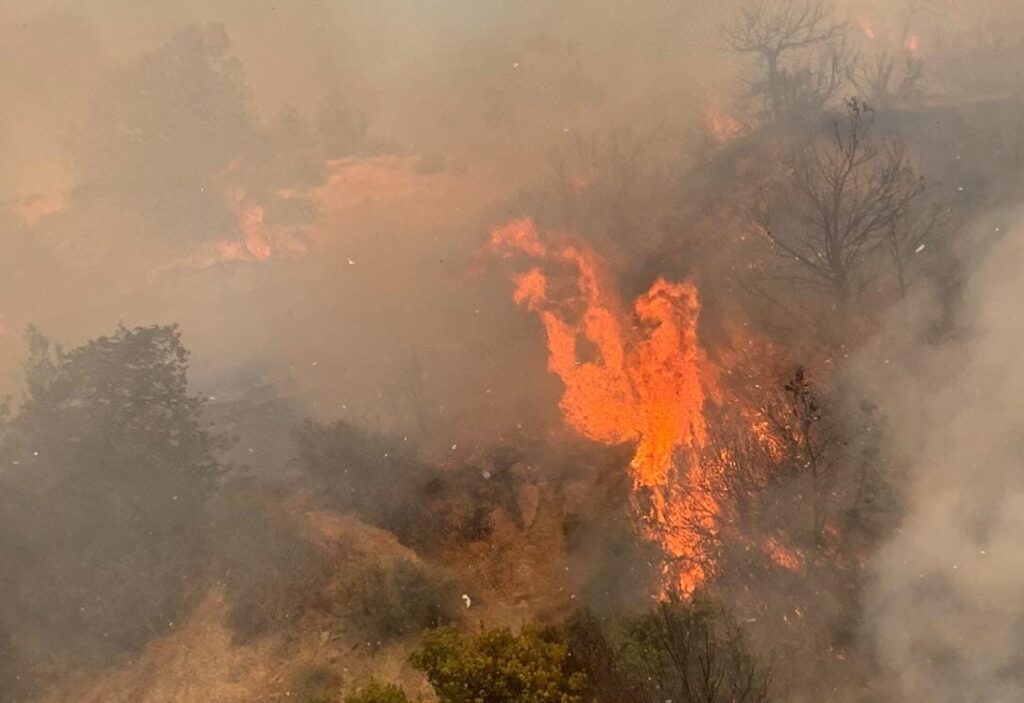 Altınova-Ağıllar köyleri arasında tepelik arazideki yangında hasar tespiti yapıldı